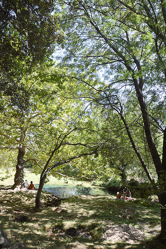 pégairolles de bueges